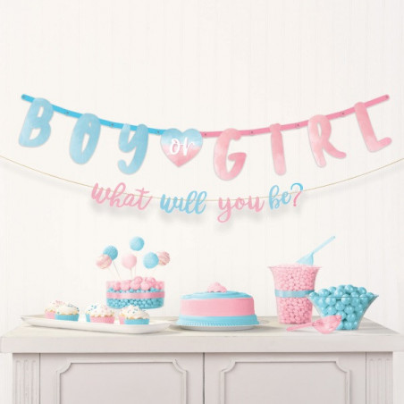 Kit Décoration Gender Reveal Party