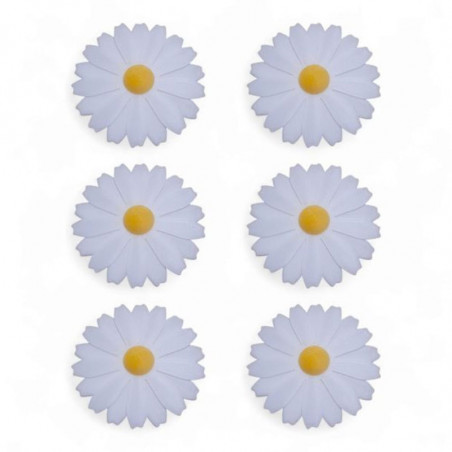 Marguerites 3d