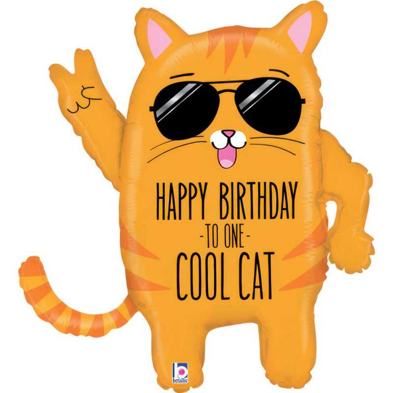 Ballon Chat Roux Anniversaire Cool Cat