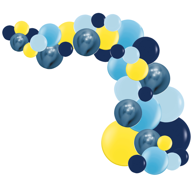 Kit Arche de Ballons Organiques - Modèle Bluey