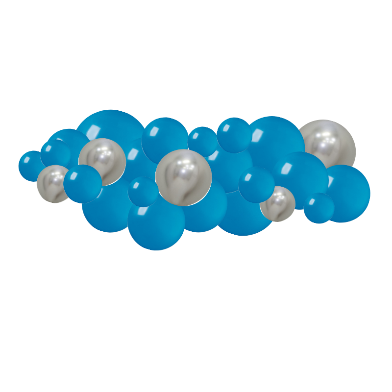 Kit Guirlande de Ballons Organiques Movember