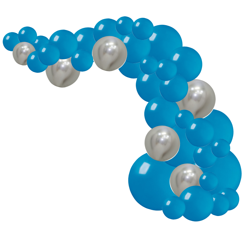 Kit Arche de Ballons Organiques Movember