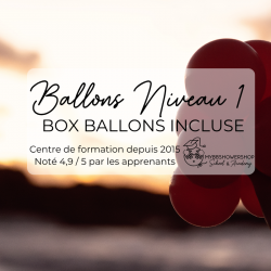 FORMATION EN LIGNE BO1