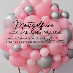 FORMATION EN LIGNE MONTGOLFIERE