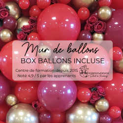 FORMATION EN LIGNE MUR DE BALLONS