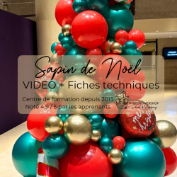 FORMATION EN LIGNE BALLONS - SAPIN DE NOEL
