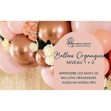 FORMATION BALLONS ORGANIQUES NIVEAU 1 ET 2 FORMATION BALLONS ORGANIQUES NIVEAU 1 ET 2
