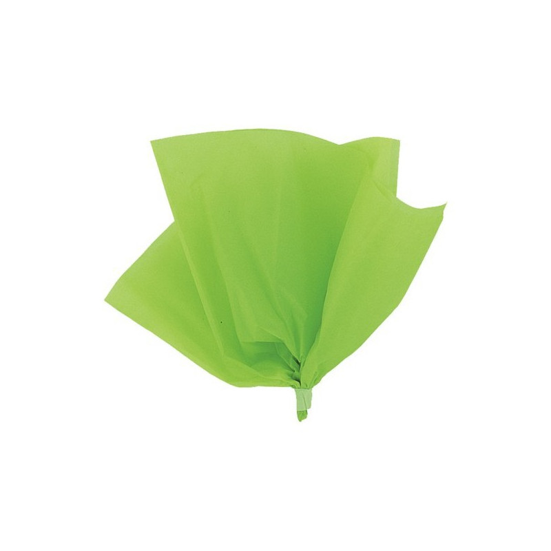 10 Feuilles Papier de Soie Vert anis