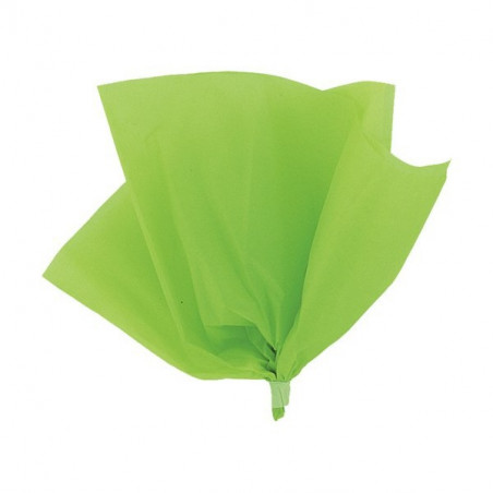 10 Feuilles Papier de Soie Vert anis