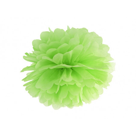 Pompon Papier de Soie 25cm Vert Pomme Décoration de Fête Pompon Papier de Soie 25cm Vert Pomme Décoration de Fête