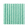 Pailles Rétro Chevron Zig Zag Vert Clair Blanc Pailles Rétro Chevron Zig Zag Vert Clair Blanc