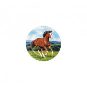 Mon Cheval - Anniversaire Fille