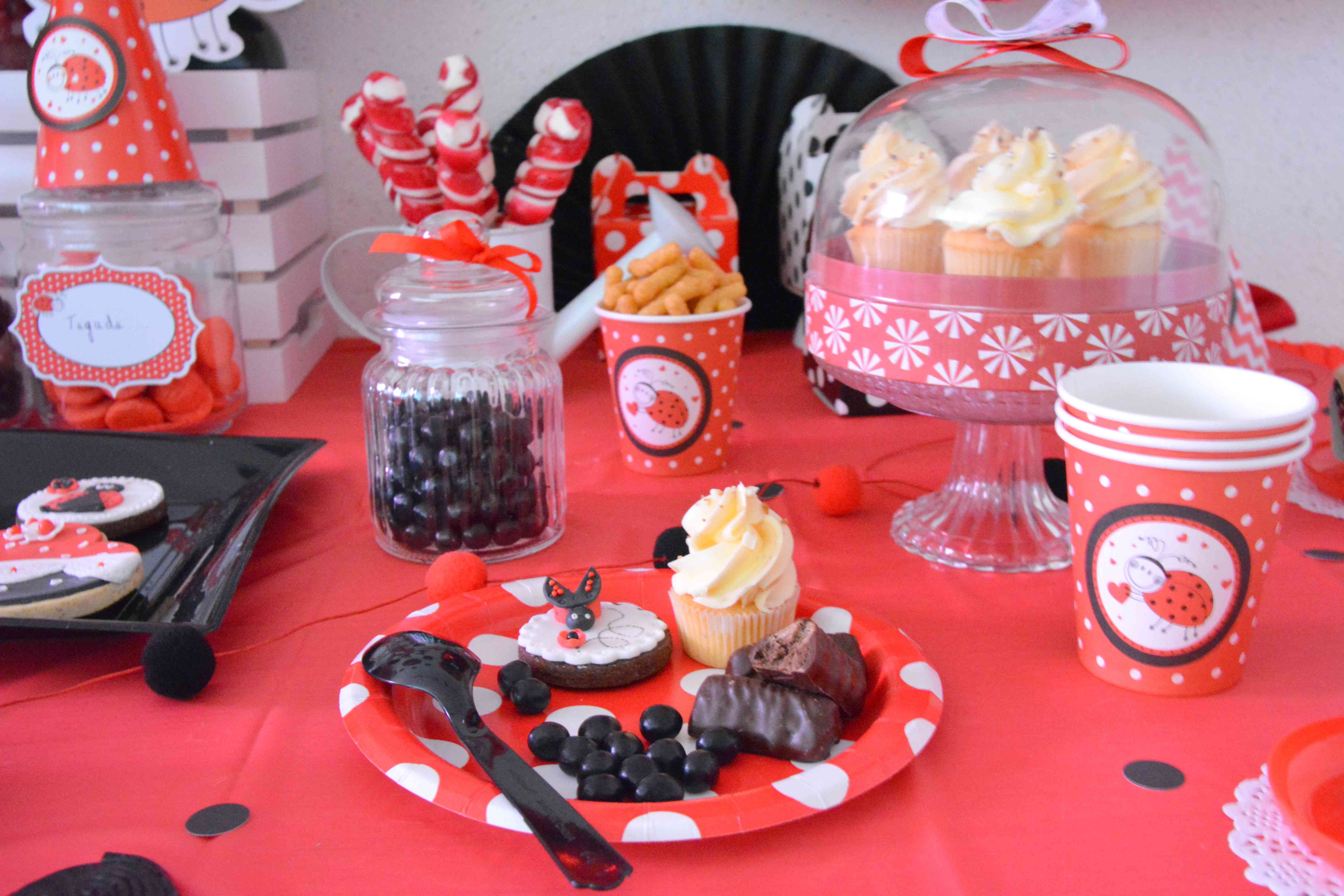 anniversaire décoration thème coccinelle fille 2 ans rouge et noir