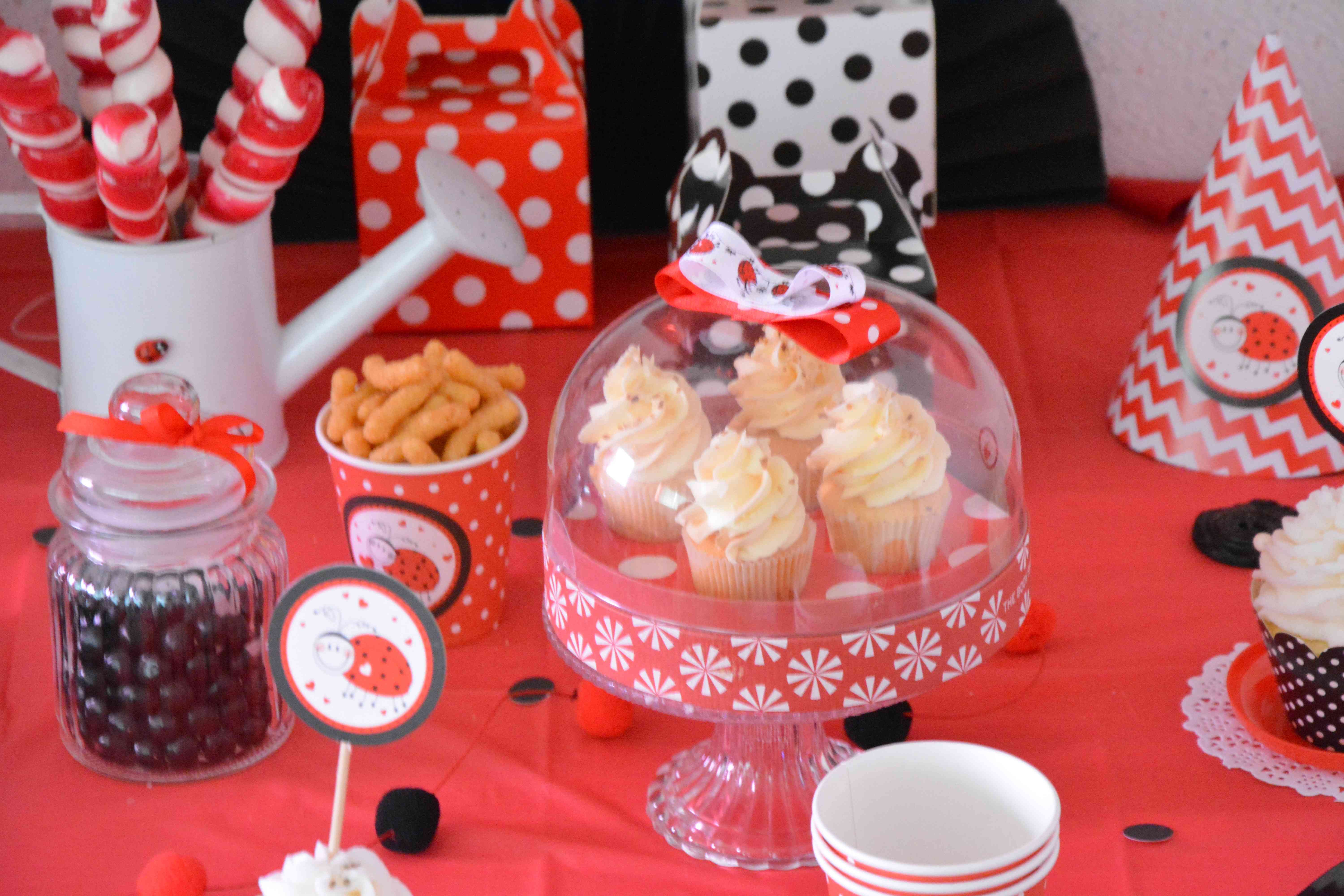 Anniversaire Decoration Theme Coccinelle Petite Fille Deux Ans Rouge Et Noir Anniversaire Decoration Theme Coccinelle Petite Fille Deux Ans Rouge Et Noir