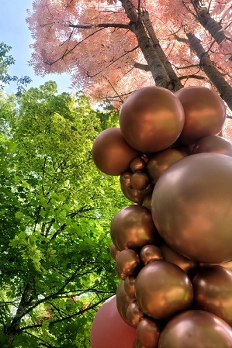 photo_arbres_ballons_organiques_nature