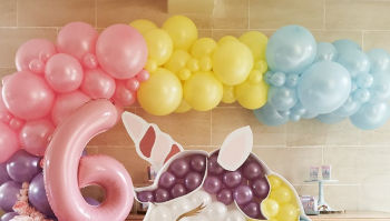 ballons organiques box